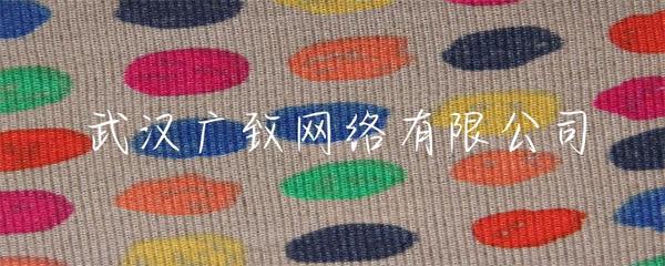 武漢廣致網絡 專業賦能，打造卓越的企業網站建設解決方案